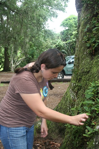 [road trip 2009 077.jpg]