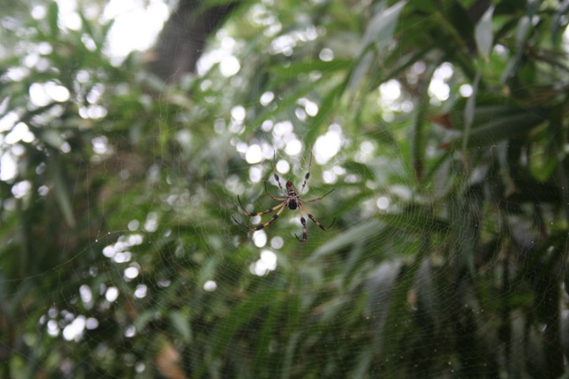 [roadtrip2009100.jpg]
