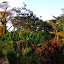 Vue de notre chambre au Roxy's Mountain Lodge à Laudat