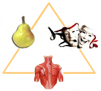    Touch For Health   Chiedi e il tuo corpo risponderà   Triangolo%20della%20salute%20PxF