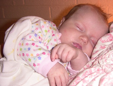 IMG_2533 IMG_2533
