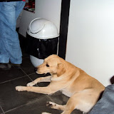 DSC03379.JPG