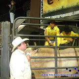 expo 050.jpg