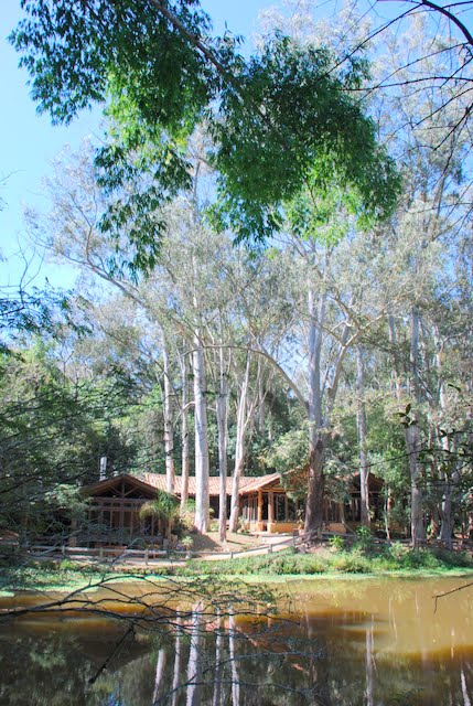 Nova Floresta – Restaurante