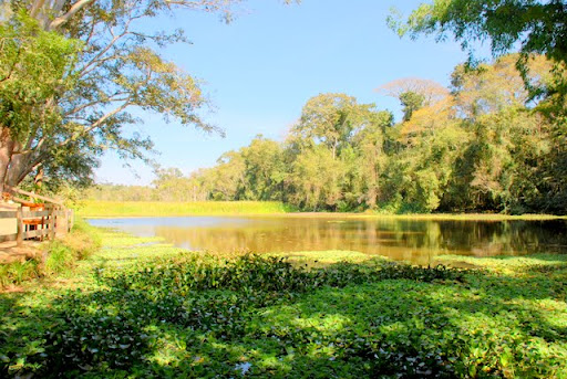 Nova Floresta – Turismo