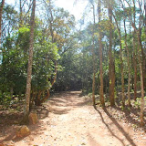 DSC_0038.JPG