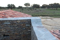 IMG_3623