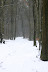 IMG 0758 Fotoalbum
