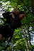 IMG 2890 Fotoalbum