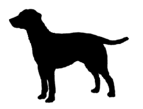 Lab Sillouette Lab Sillouette
