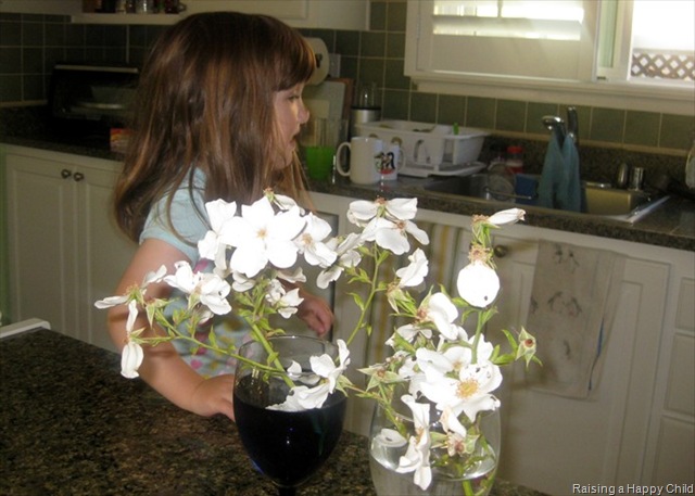 [July1_FlowerExperiment[2].jpg]