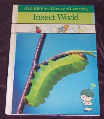 [Insect World[5].jpg]