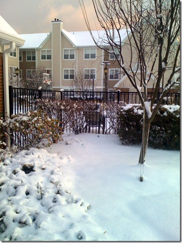 Picture 026
