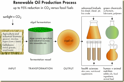 solazyme-process-graph
