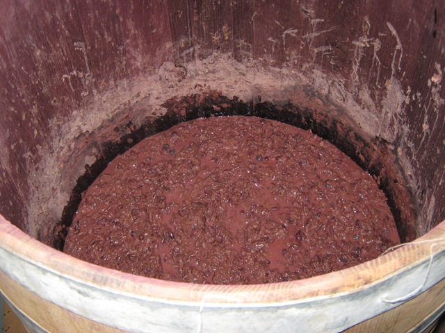 [Wine making DiDario 10.09 001[4].jpg]