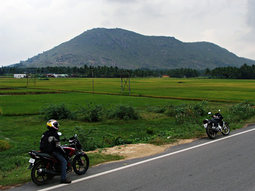 Posted Image