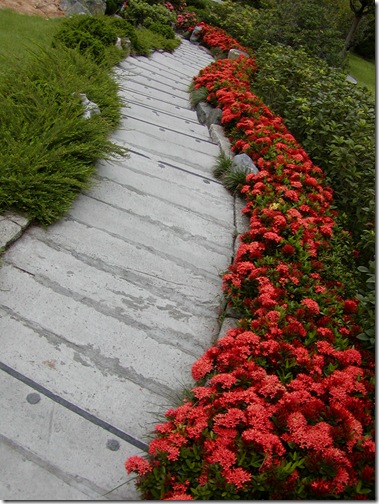P6230022