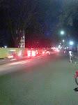 DSC01393.JPG