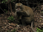 IMG_5291.JPG