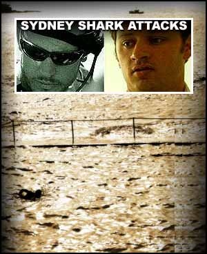 [sharkattacks2-300x368[3].jpg]