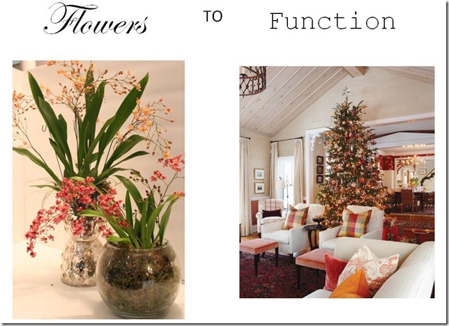 Flowers to Function_3