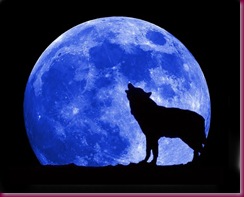 blue-moon-wolf-full