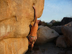 p1010473-0.jpg
