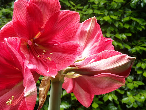 DSCN1144.JPG