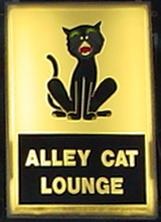[090731AlleyCat4.jpg]