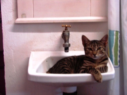 [EsperanzaandSink0023.jpg]