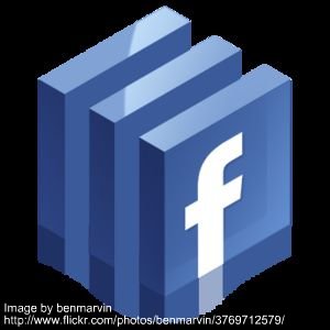 Branding Yourself Through Social Networking 2 Branding Yourself Through Social Networking 2