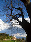 Montevibiano Marzo-Aprile 2010 Slideshow