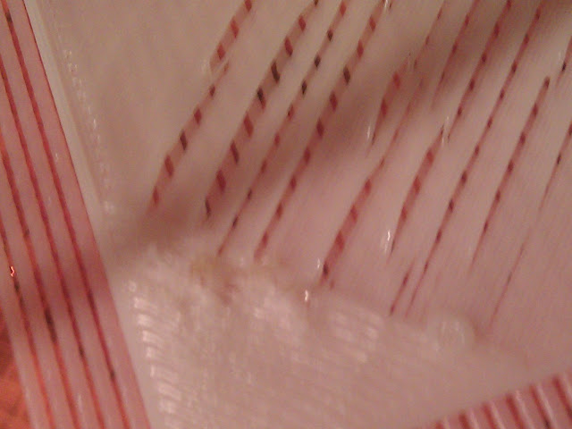 IMG_20100711_013401.jpg