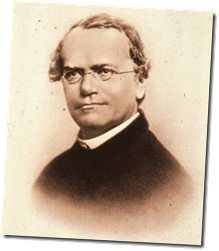 Gregor Mendel : Peletak dasar konsep genetika Gregor Mendel : Peletak dasar konsep genetika
