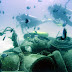 Diving-057.jpg, Wreck diving at Kapalai, Malaysia 2008