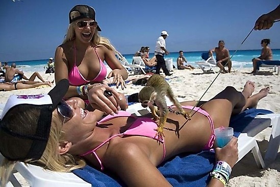 [monkey_groping_20100305_1634964039[3].jpg]
