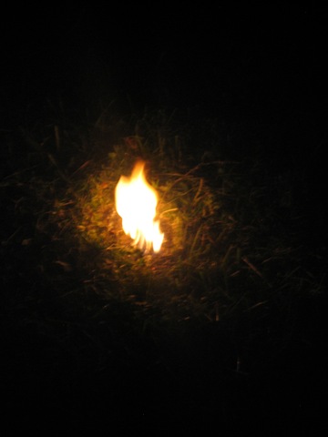 [2009-08-22 009[2].jpg]
