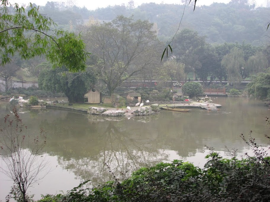 Petite vue du zoo