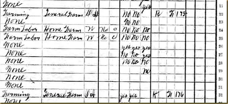 Eliza Wagers 1910 Census 3