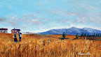 Campo di grano