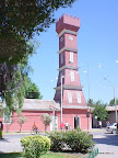 Vicuña