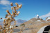 observatorio-la-silla2.jpg