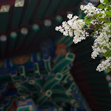 北京法源寺
