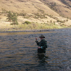 Benbrook Steelhead
