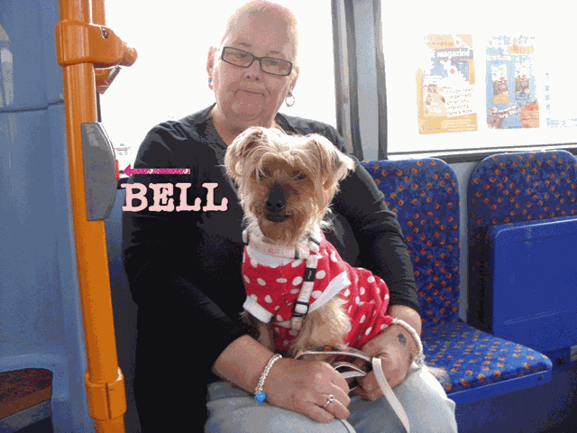 [bell[1].gif]