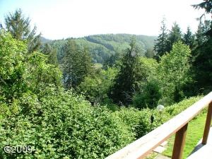 [River view[2].jpg]