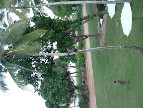 DSCF3684.JPG
