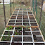 Chenggeler's SFG - 64 garden