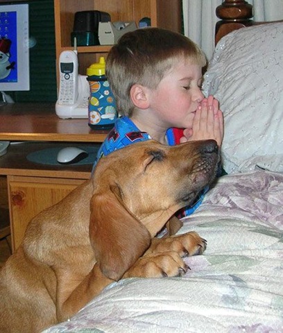 [dog prayer[2].jpg]