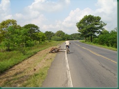 El Salvador Nicarauga 2008 014